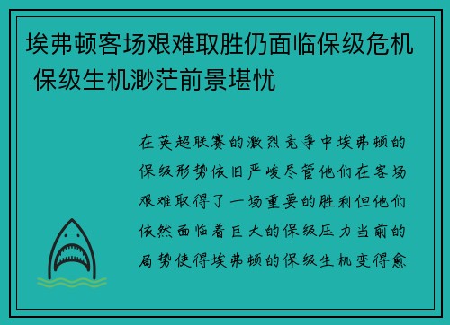 埃弗顿客场艰难取胜仍面临保级危机 保级生机渺茫前景堪忧